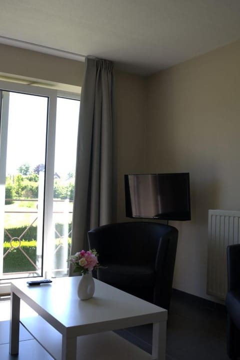 TV and multimedia, View (from property/room), Living room