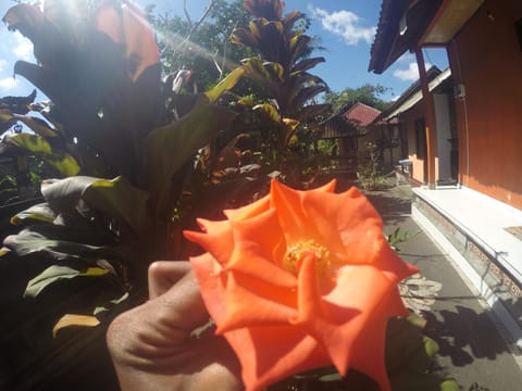 Patio, Neighbourhood