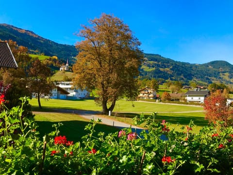 Day, Natural landscape