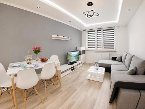 TV and multimedia, Living room, Seating area, air conditioner