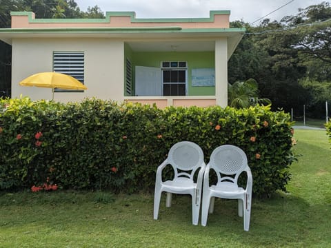 Property building, Spring, Day, Natural landscape, Garden