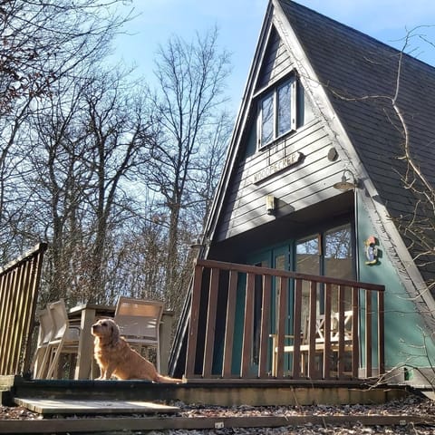 Woodpecker - bungalow 29 Chalet in Wallonia, Belgium