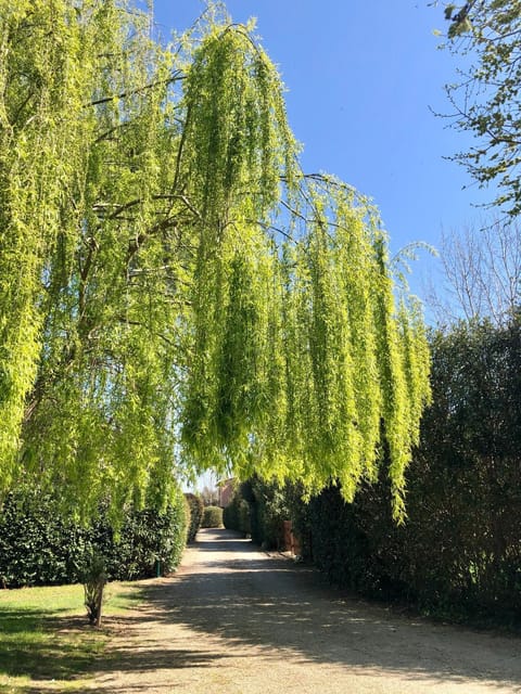 Garden, View (from property/room)