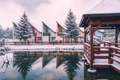 Property building, Natural landscape, Winter, Lake view