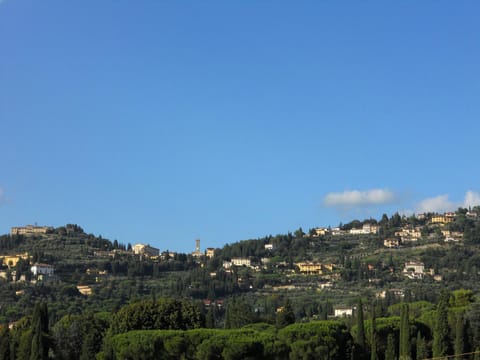 Bird's eye view, Garden, View (from property/room), On site, City view, Garden view, Landmark view, Family