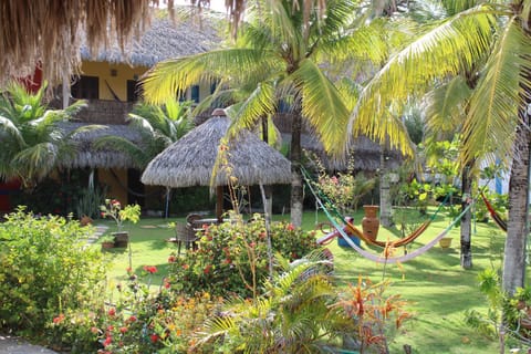 Garden view