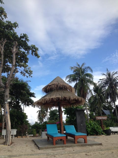 Beach, Garden view, Sea view