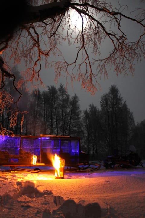 Night, Natural landscape, Activities, Winter, VIP