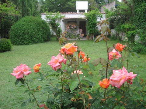 Spring, Summer, Garden, Pets, Family