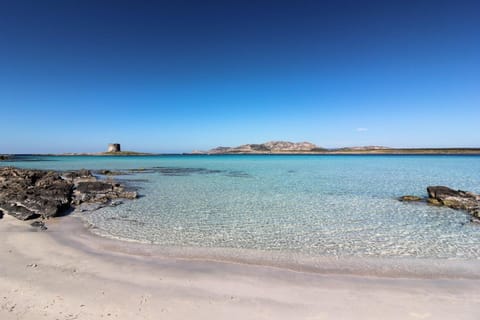 Nearby landmark, Natural landscape, Beach
