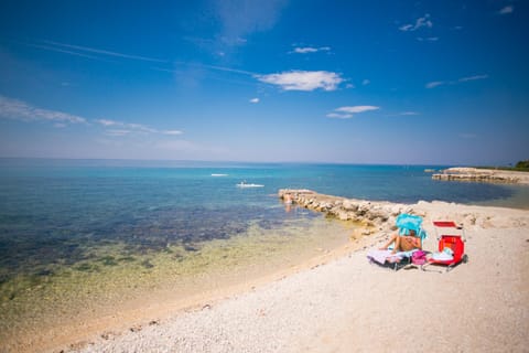 Day, People, Natural landscape, Beach, Sea view, children, group of guests