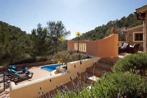 Garden, Swimming pool, Swimming pool
