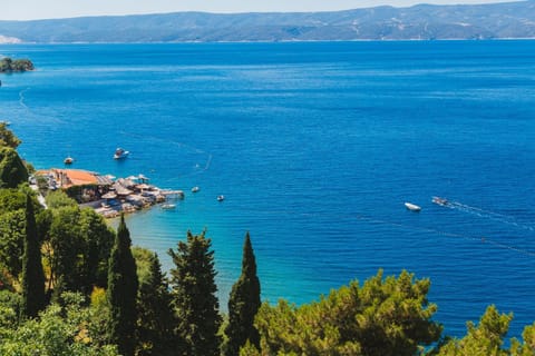 Sea view