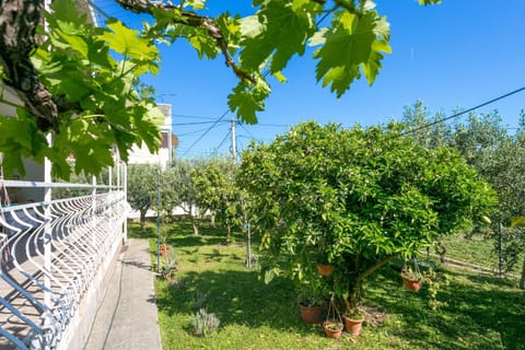 Location, children, Family
