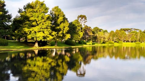 Natural landscape