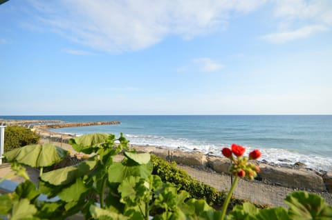 Sea view