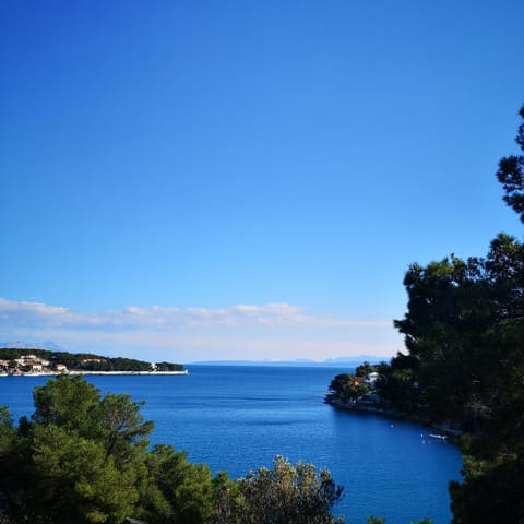 Villa Sky with stunning view House in Selca, Brač