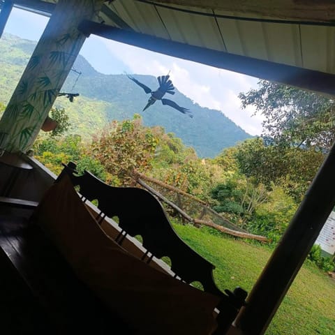 Spring, Natural landscape, Garden, View (from property/room), Balcony/Terrace, Living room, Evening entertainment, Garden view, Mountain view