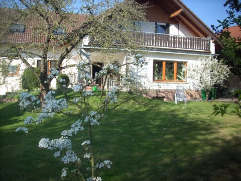 Spring, On site