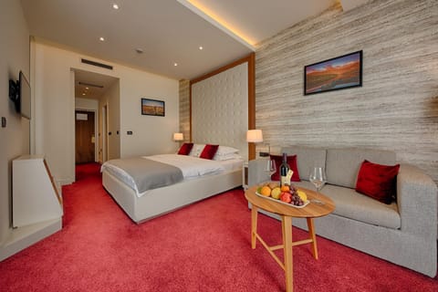 Bed, TV and multimedia, Photo of the whole room