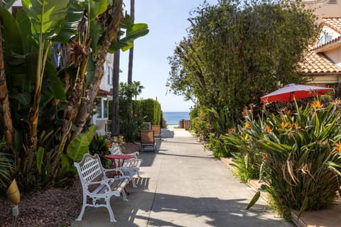 Garden view, Sea view