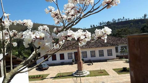 Spring, Garden view