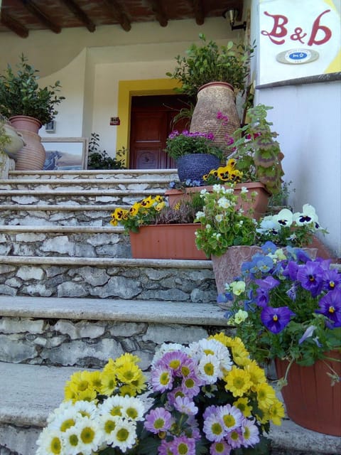 Patio, Facade/entrance