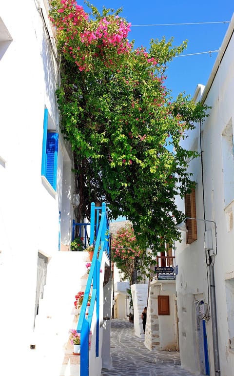 Facade/entrance, Neighbourhood