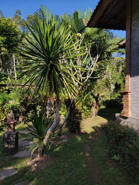 Dina Homestay Vacation rental in Bali