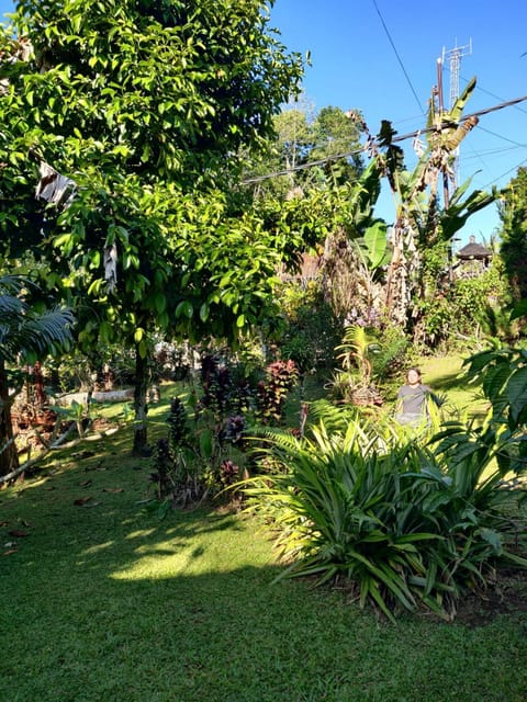 Dina Homestay Vacation rental in Bali