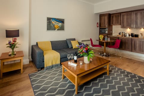 PREMIER SUITES Dublin, Leeson Street Apartment in Dublin
