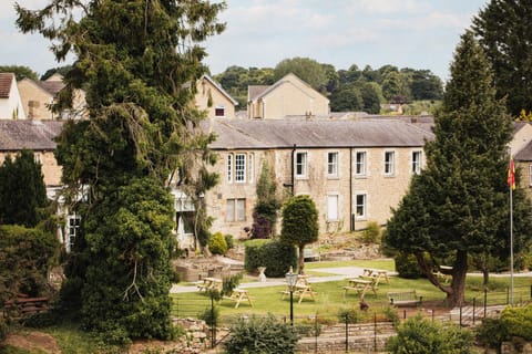 Natural landscape, Garden, Garden view