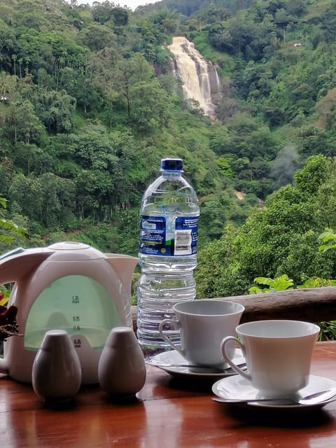 Natural landscape, Coffee/tea facilities, Lobby or reception, Mountain view