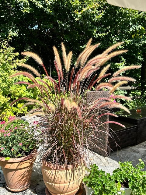 Villa Lykos Plitvice Bed and Breakfast in Jezerce