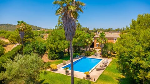 Garden, Swimming pool