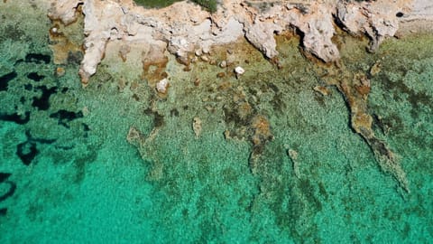 House Mirta House in Šibenik-Knin County, Croatia