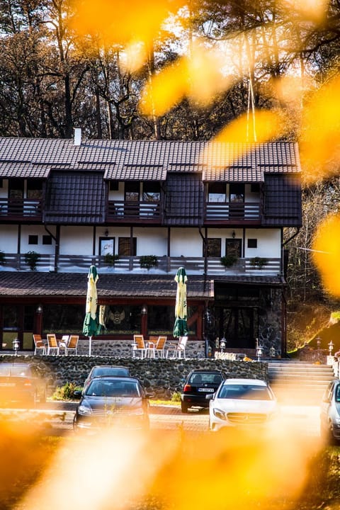 Property building, Facade/entrance, Autumn, On site