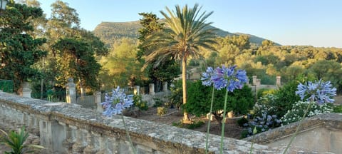 Natural landscape, Garden view