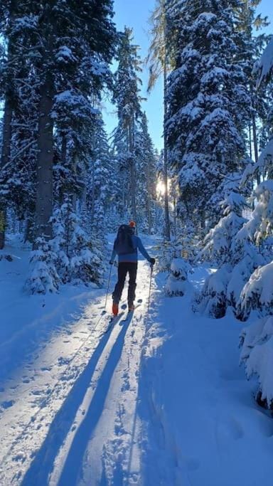 Natural landscape, Winter