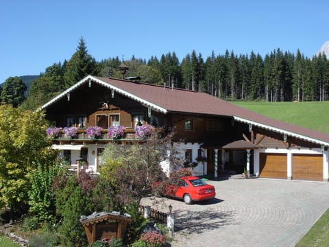 Property building, Bird's eye view