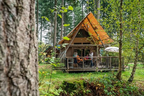 Natural landscape, Photo of the whole room, Autumn