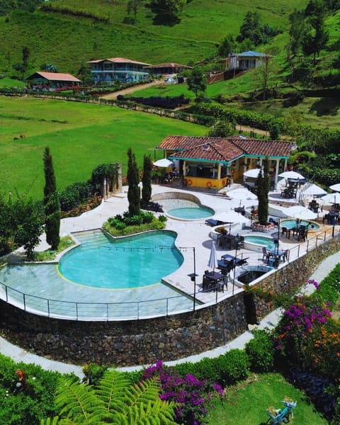 Natural landscape, Activities, Pool view, Swimming pool, sunbed