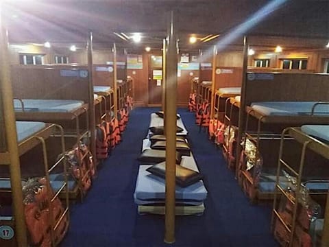 bunk bed