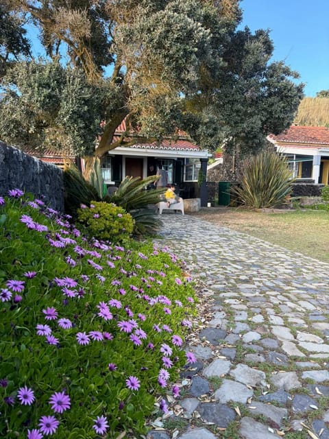 Property building, Garden, Garden view
