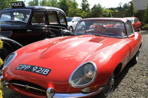 Diving, On site, Sports, Entertainment