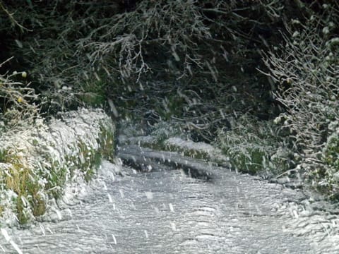 Roberts’ Cottage Villa in County Mayo