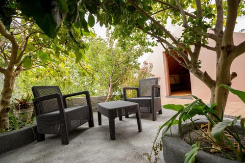 Garden, Balcony/Terrace