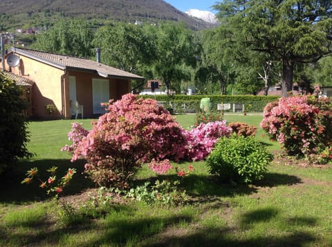 Spring, Day, Natural landscape, Other, Decorative detail, On site, Garden view