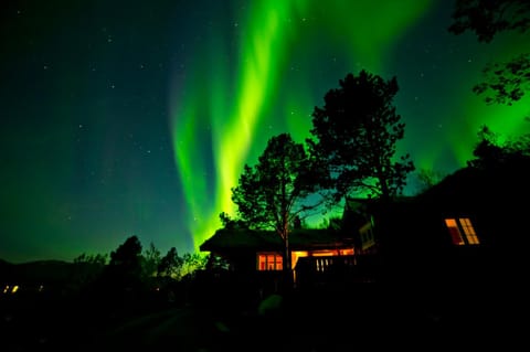 Property building, Night, Natural landscape, Winter, Autumn