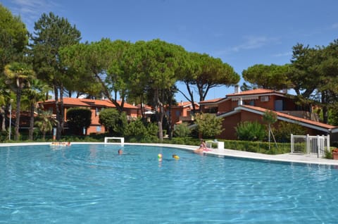 Garden, Garden view, Pool view